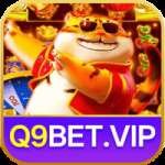 q9bet Elite BR v1.8.7